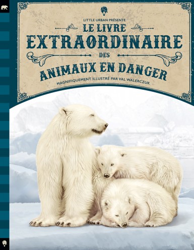 Le livre extraordinaire