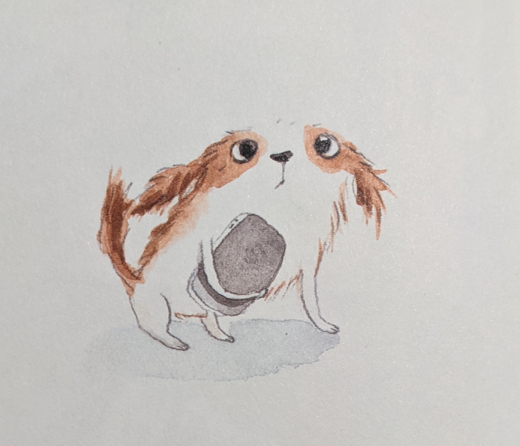 Chouquette