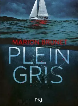 Plein gris