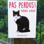 Pas perdus !