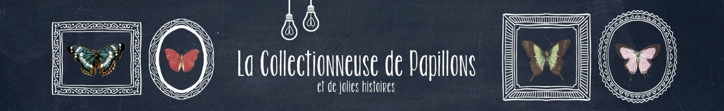 https://collectionsdepapillons.files.wordpress.com/2015/12/cropped-header24.jpg